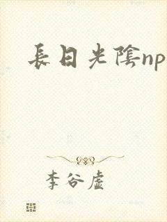 长日光阴np