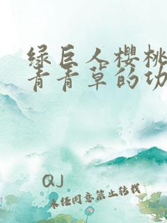 绿巨人樱桃荔枝青青草的功效