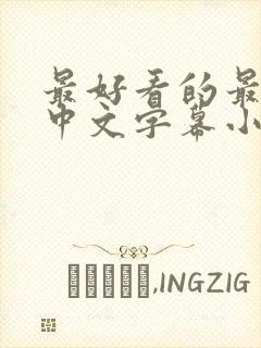 最好看的最新的中文字幕小说