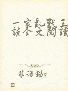 一家乱战王芳小说全文阅读