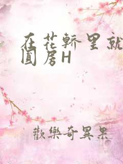 在花轿里就开始圆房H