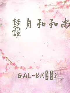 楚月和和尚的小说