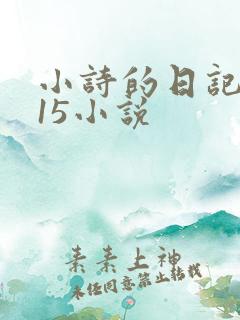 小诗的日记1一15小说