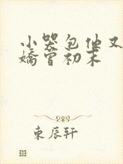 小哭包他又软又娇曾初末