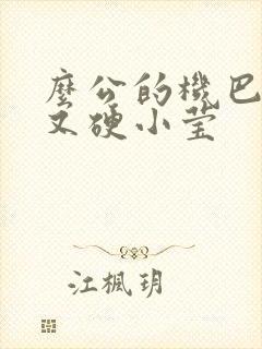 么公的机巴又粗又硬小莹