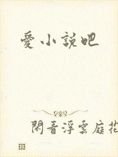 爱小说吧