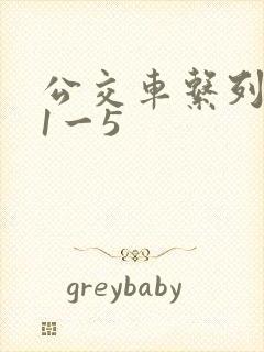 公交车系列合集1一5