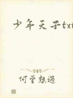 少年天子txt