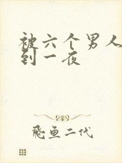 被六个男人躁J到一夜