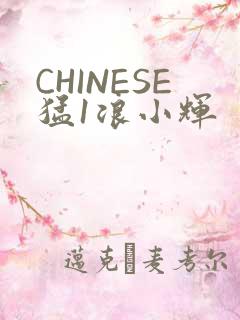 CHINESE猛1浪小辉