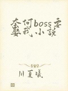 奈何boss要娶我小说