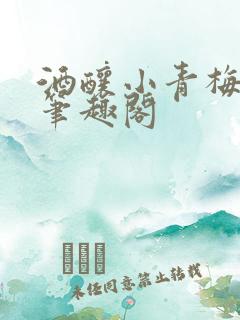 酒酿小青梅po笔趣阁