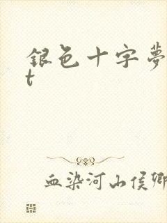 银色十字梦txt