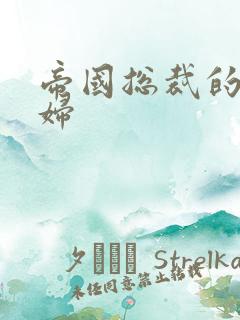 帝国总裁的下堂妇