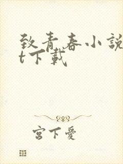 致青春小说txt下载