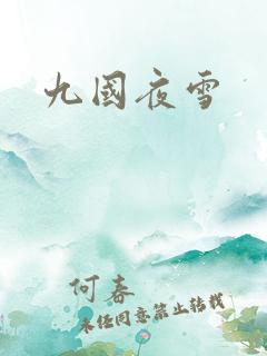 九国夜雪