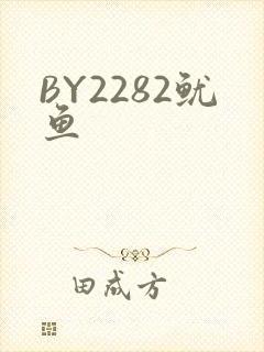 BY2282鱿鱼