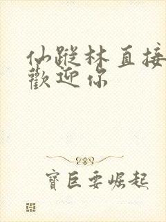 仙踪林直接入口欢迎你