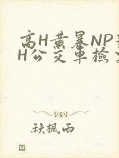 高H黄暴NP辣H公交车检票员