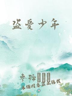 盗爱少年