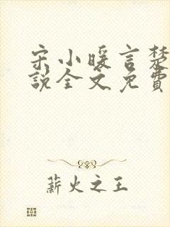 宋小暖言楚行小说全文免费阅读