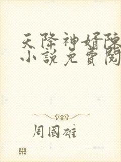 天降神婿陈黄皮小说免费阅读