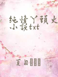 纯情丫头火辣辣小说txt