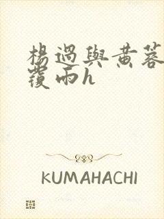 杨过与黄蓉翻云覆雨h