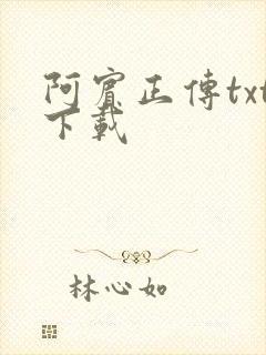 阿宾正传txt下载