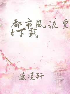 都市风流皇txt下载