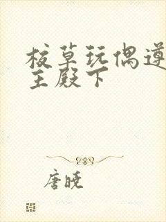 校草玩偶遵命公主殿下