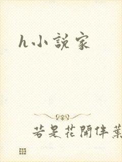 h小说家