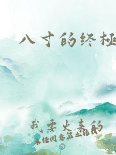 八寸的终极凶器