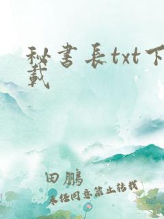 秘书长txt下载