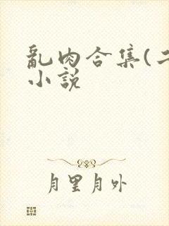 乱肉合集(二)小说