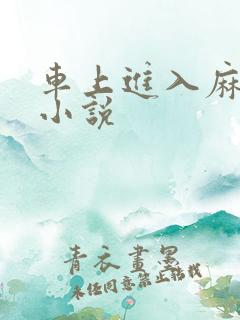 车上进入麻麻的小说