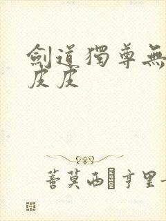 剑道独尊无弹窗皮皮