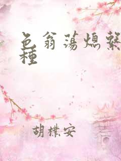 色翁荡熄系列借种