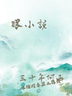 眼小说