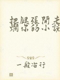 把腿张开老子臊烂你的小说