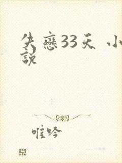 失恋33天 小说