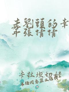 老刘头的幸福晚年张倩倩