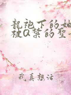 龙袍下的她皇嫂被Q禁的圣女
