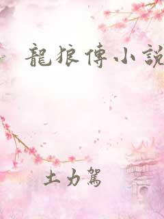 龙狼传小说