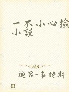 一不小心捡到爱小说