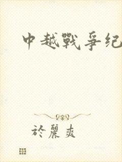 中越战争纪实录