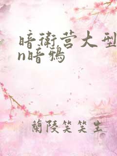 暗卫营大型hpn暗鸦