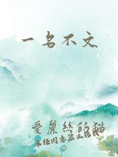一名不文