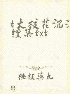 t大校花沉浮录续集txt