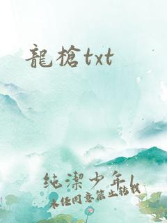 龙枪txt
